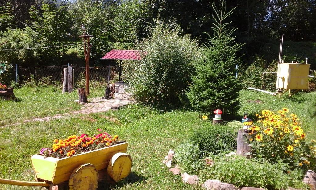 U Pana Ivana Yaremche Exterior foto