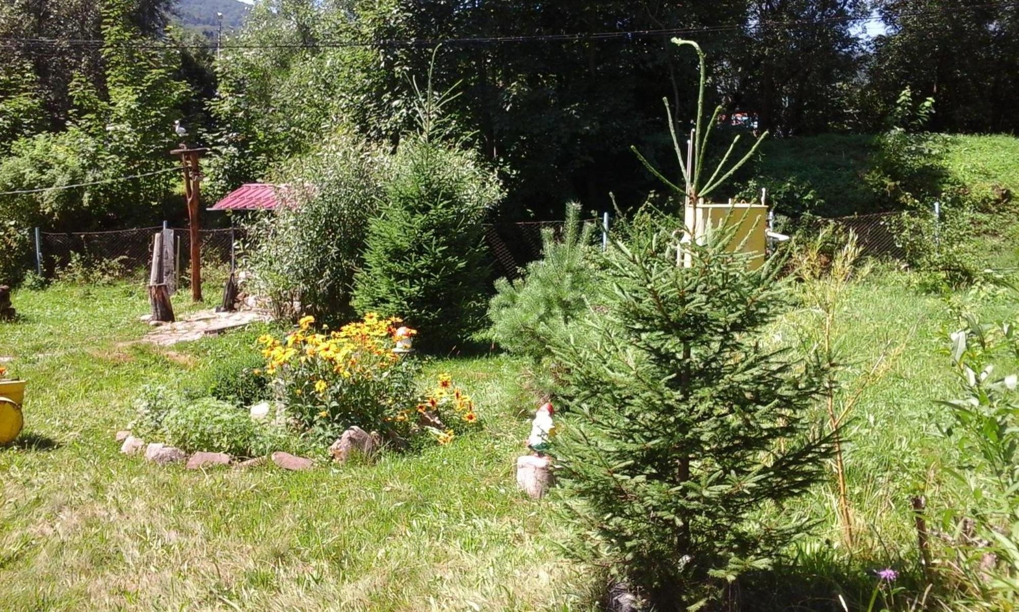 U Pana Ivana Yaremche Habitación foto