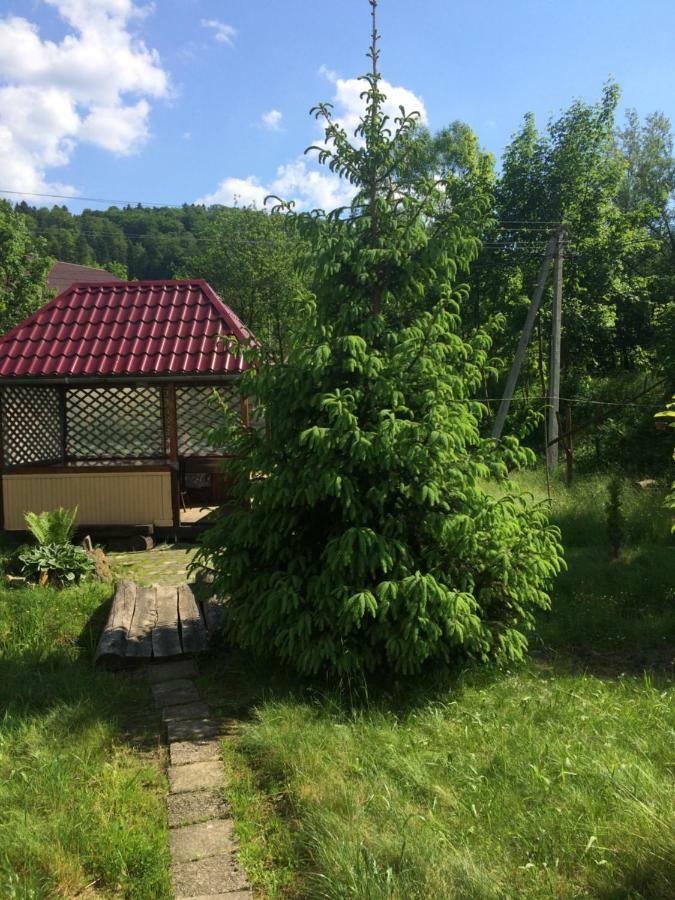 U Pana Ivana Yaremche Exterior foto